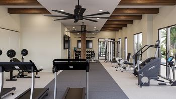 A gym with a variety of equipment including treadmills, weights, and a rowing machine at The Stadler Luxury Apartments, Bradenton, FL 34210